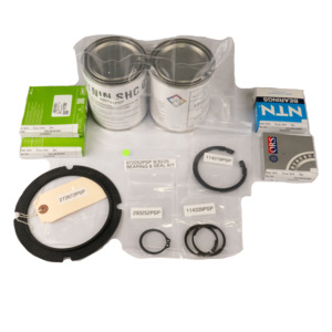 BEARING & SEAL KIT