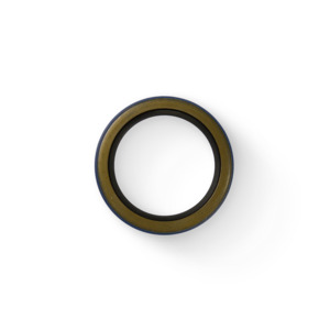 OIL SEAL