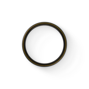 OIL SEAL