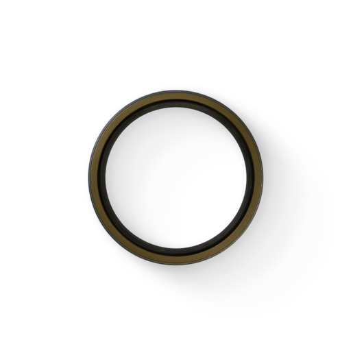 OIL SEAL