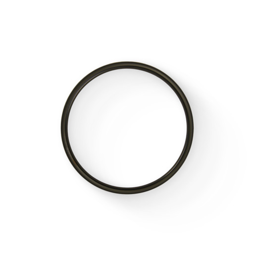 OIL SEAL