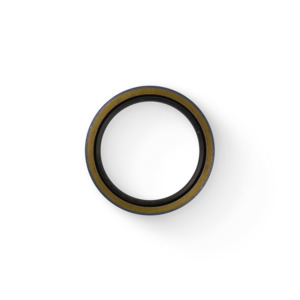 OIL SEAL