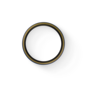 OIL SEAL