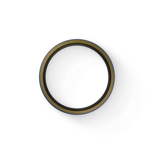 OIL SEAL