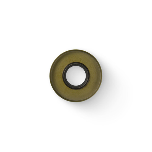 OIL SEAL