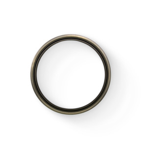Oil Seal