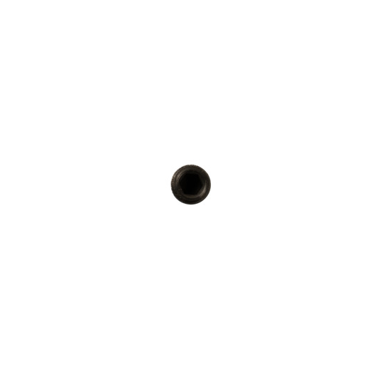 HEX SOCKET SET SCREW-NYLOK