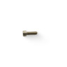 SOCKET HEAD CAP SCREW M8 x 25mm LG