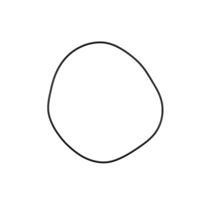 2SZ O-RING (BRG HSG)