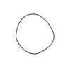 2SZ O-RING (BRG HSG)