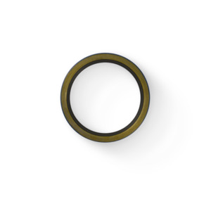 OIL SEAL
