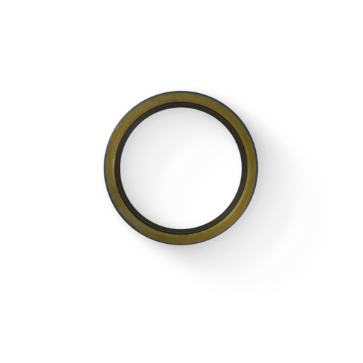 OIL SEAL