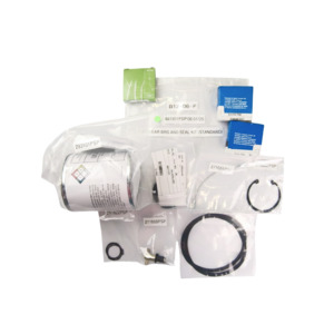 EV GEAR BRG AND SEAL KIT (STANDARD)