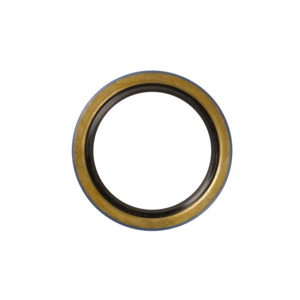 OIL SEAL