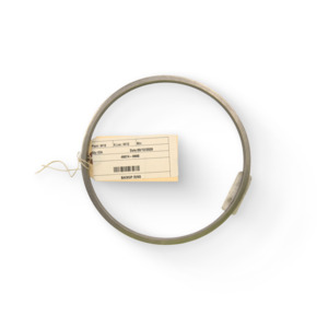 BACKUP RING