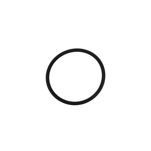 O RING