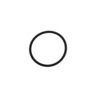 O RING